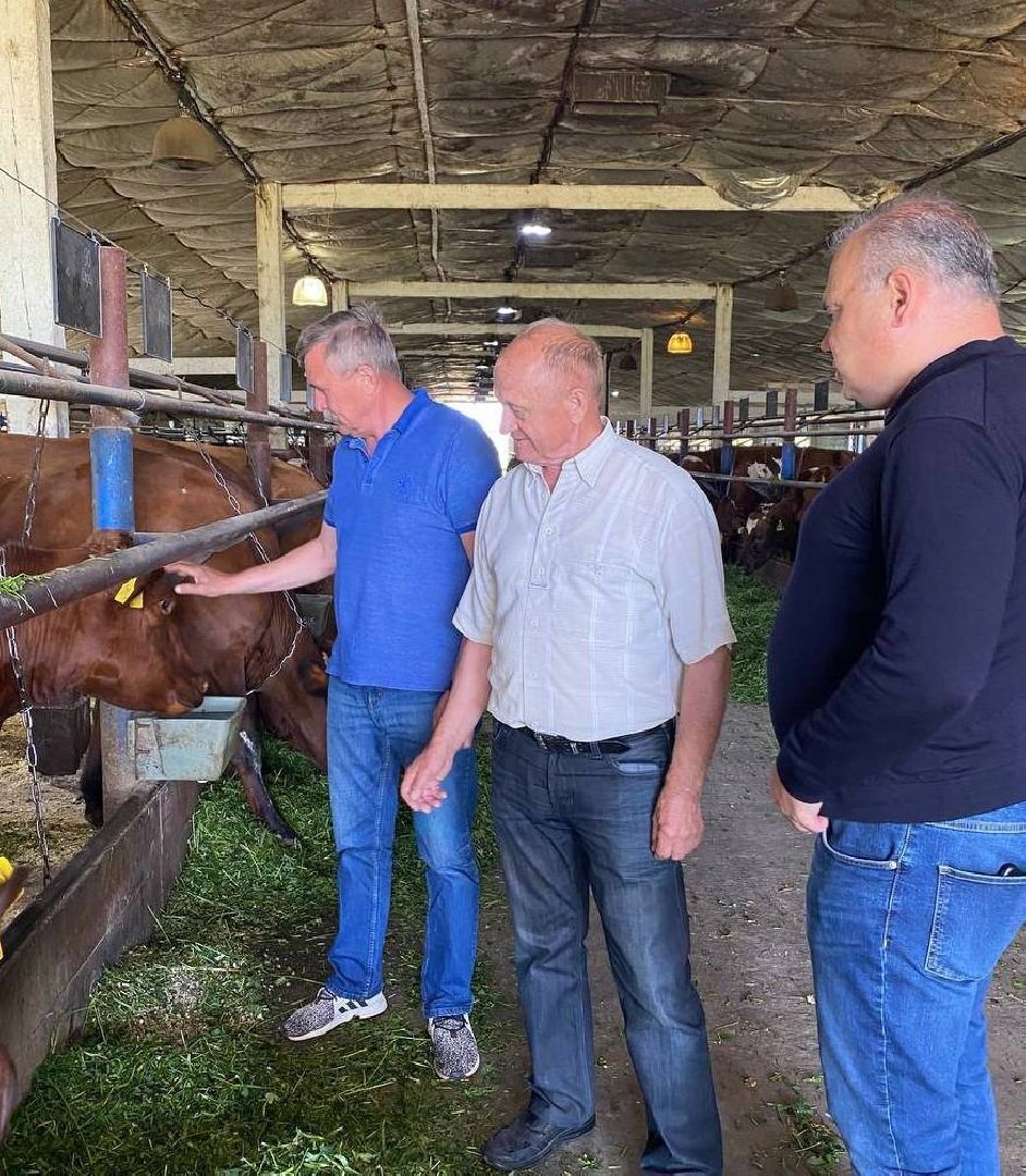 воскресенск, люди, почетный житель, вертикалки,