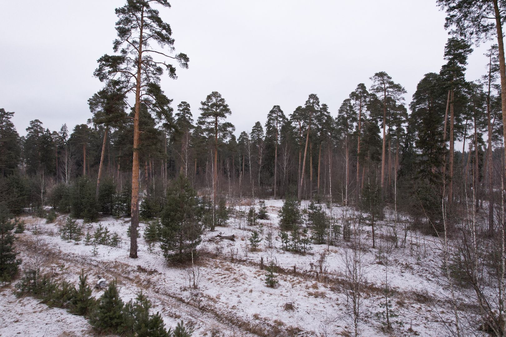 видео с коптера, орехово-зуево, благоустройство парка,