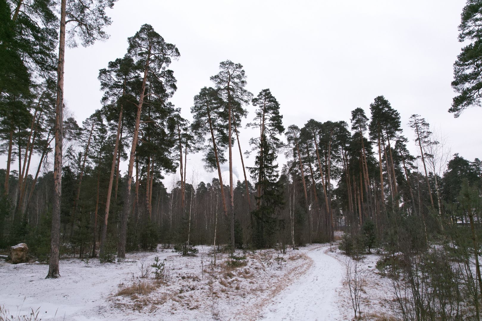 видео с коптера, орехово-зуево, благоустройство парка,