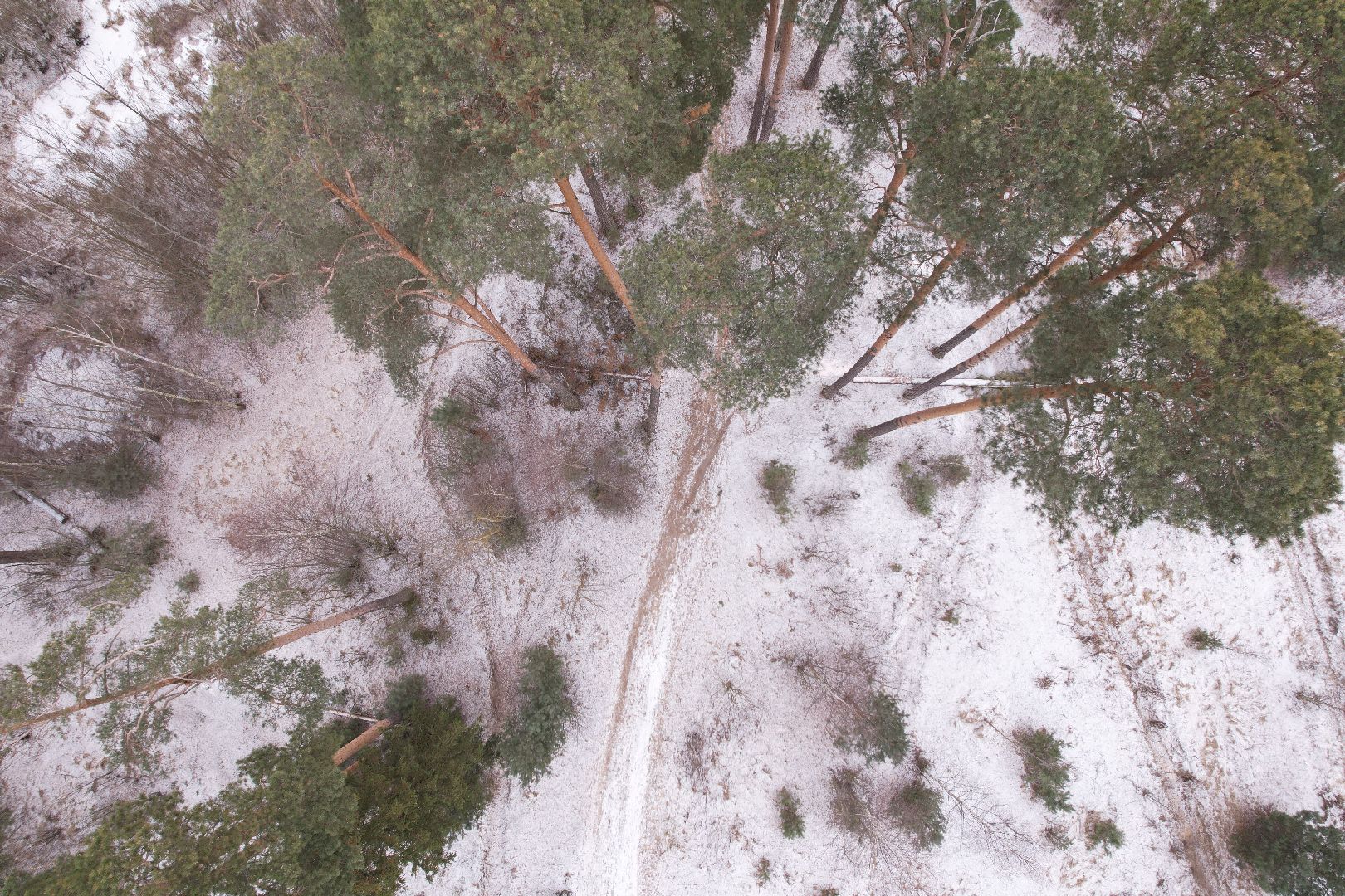видео с коптера, орехово-зуево, благоустройство парка,