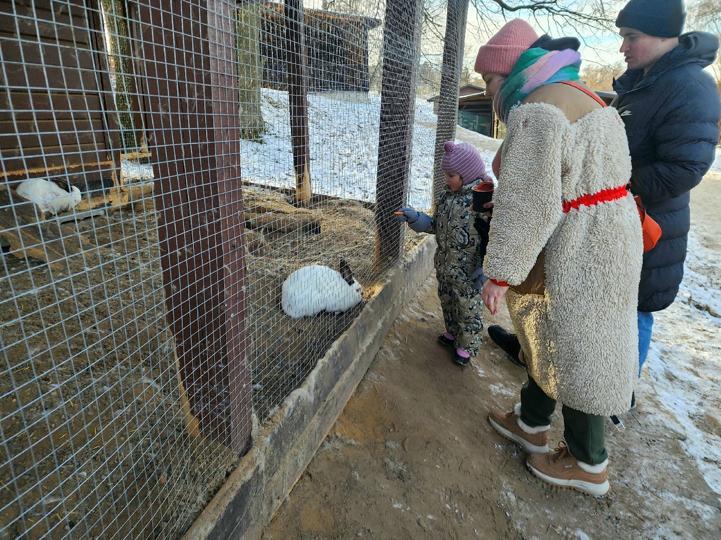 пущино, серпухов, животные, зоопарк, зима в подмосковье,