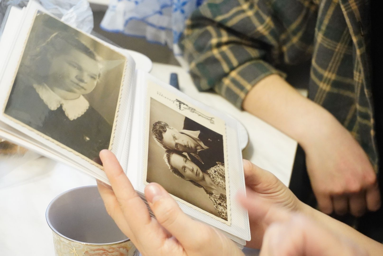 павловский посад, вертикалки, ветеран,