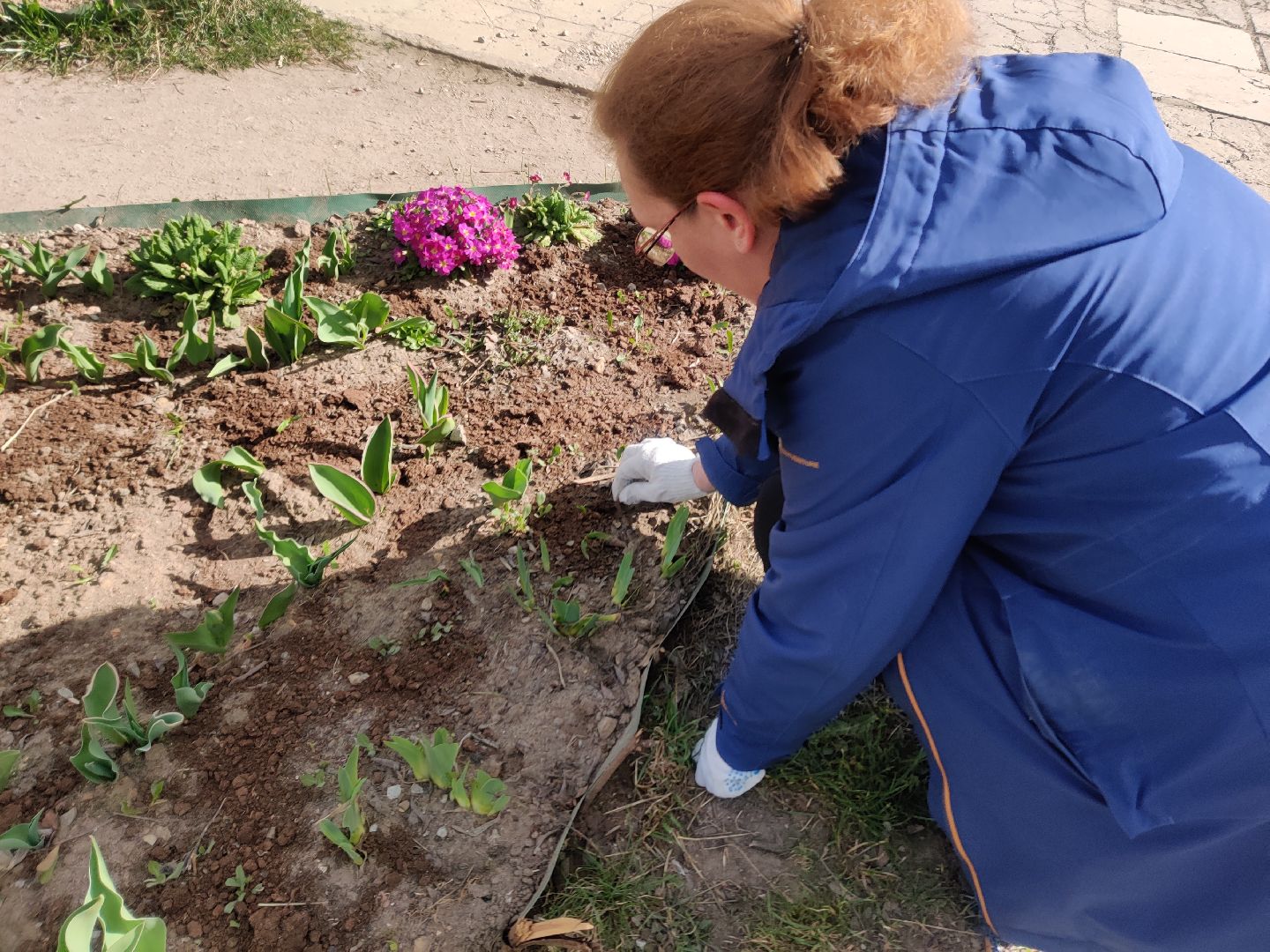 Красноармейск, Пушкинский, клумбы, субботник, весенние цветы