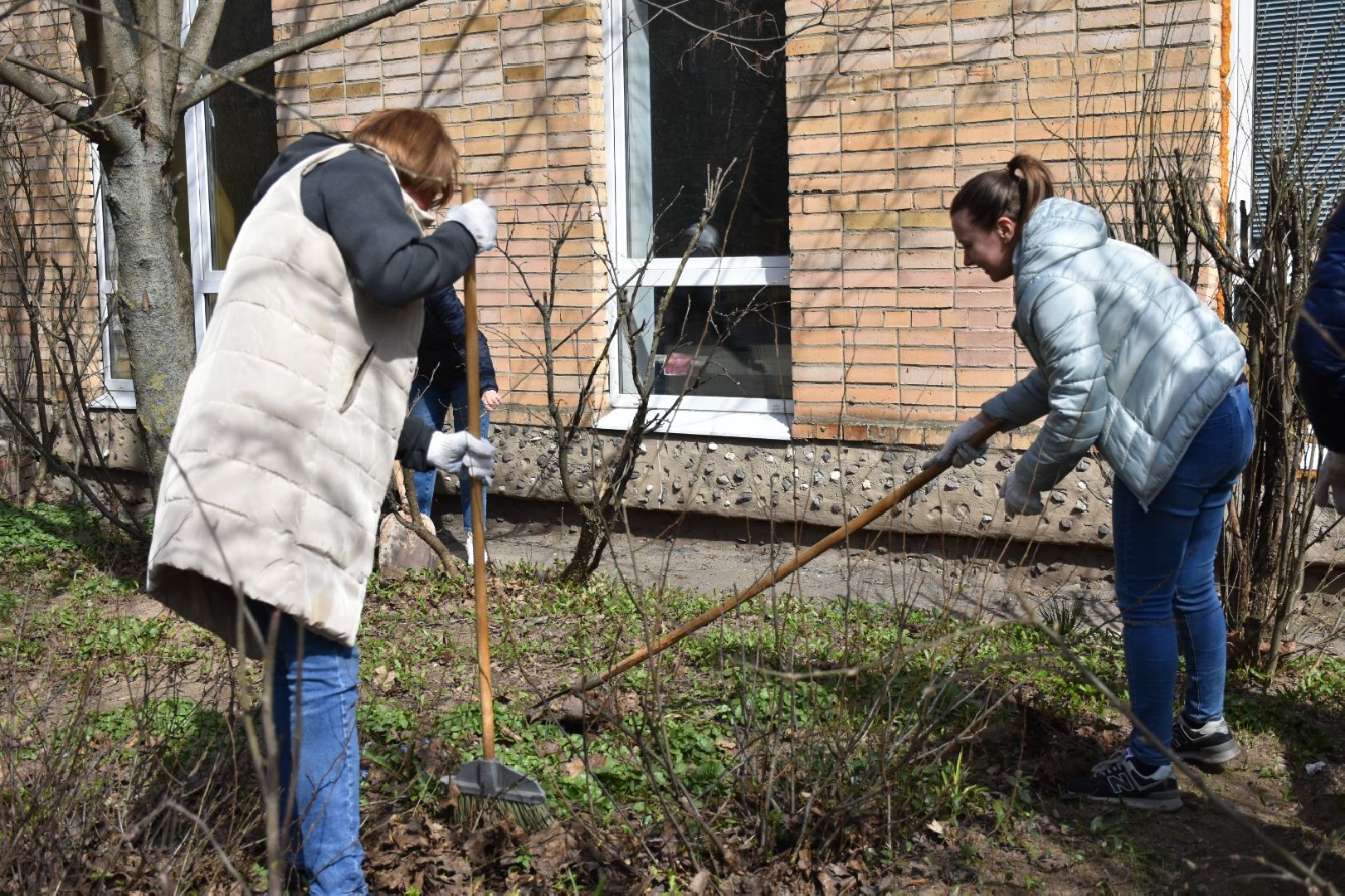 Красноармейск, Пушкинский, клумбы, субботник, весенние цветы