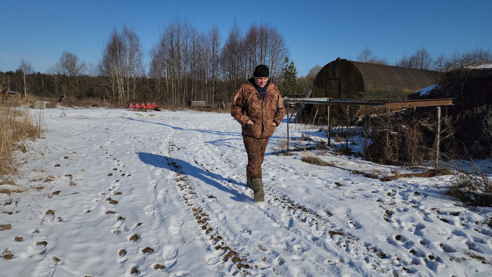 лес, животные, шатура, вертикалки,