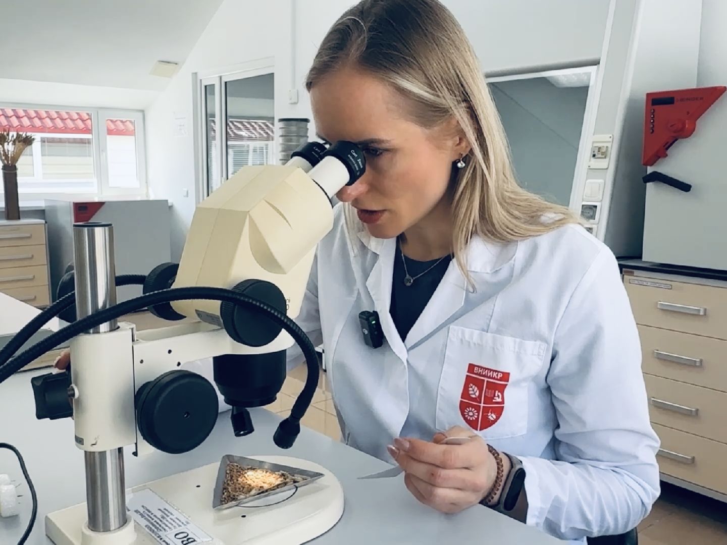 раменское, быково, биология, наука, лауреат,