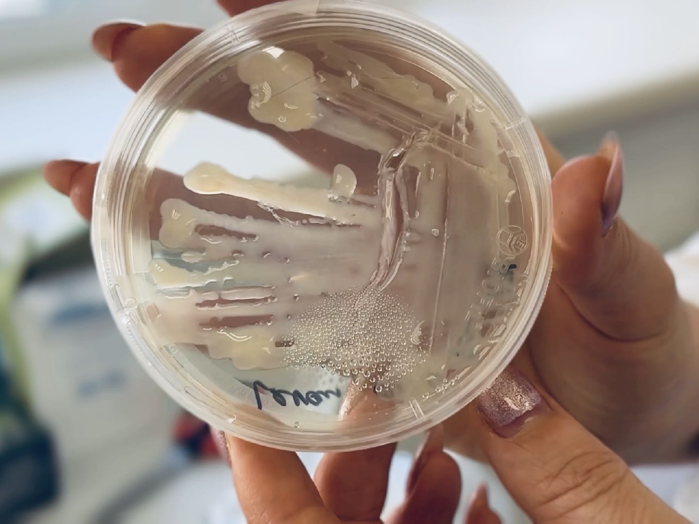 раменское, быково, биология, наука, лауреат,