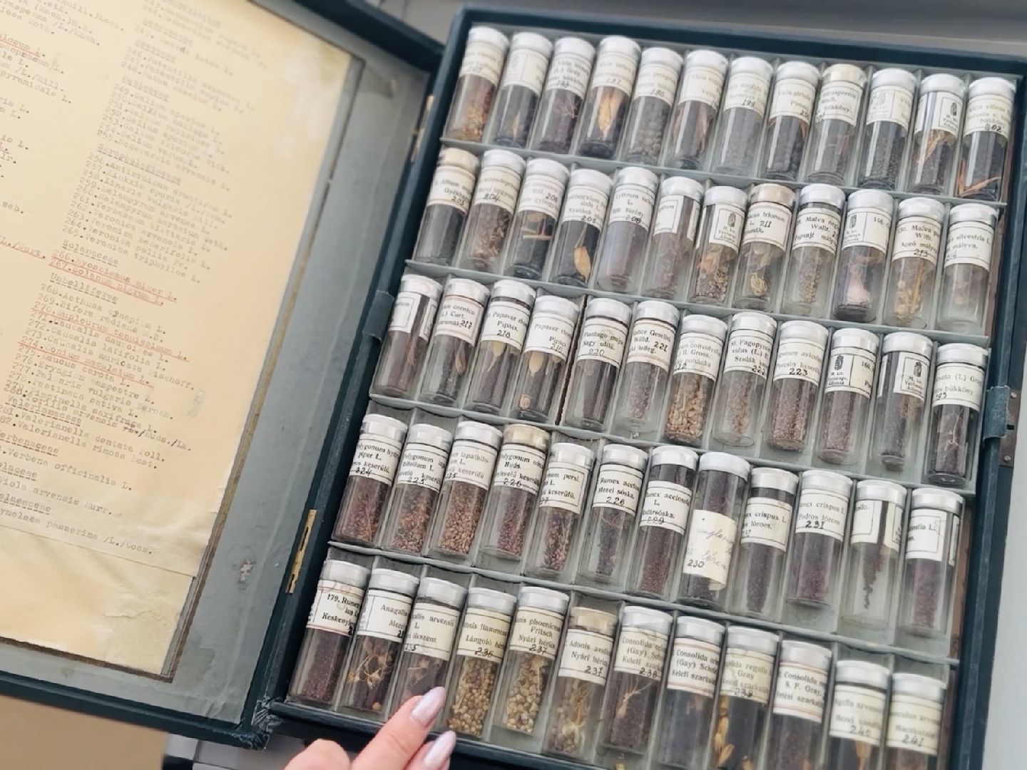 раменское, быково, биология, наука, лауреат,