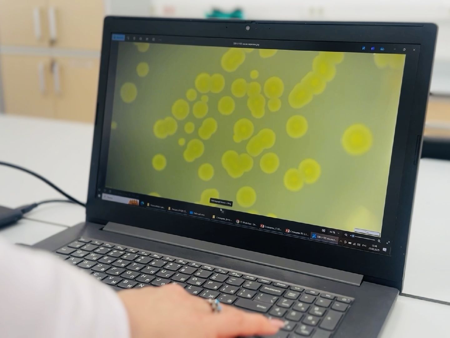 раменское, быково, биология, наука, лауреат,