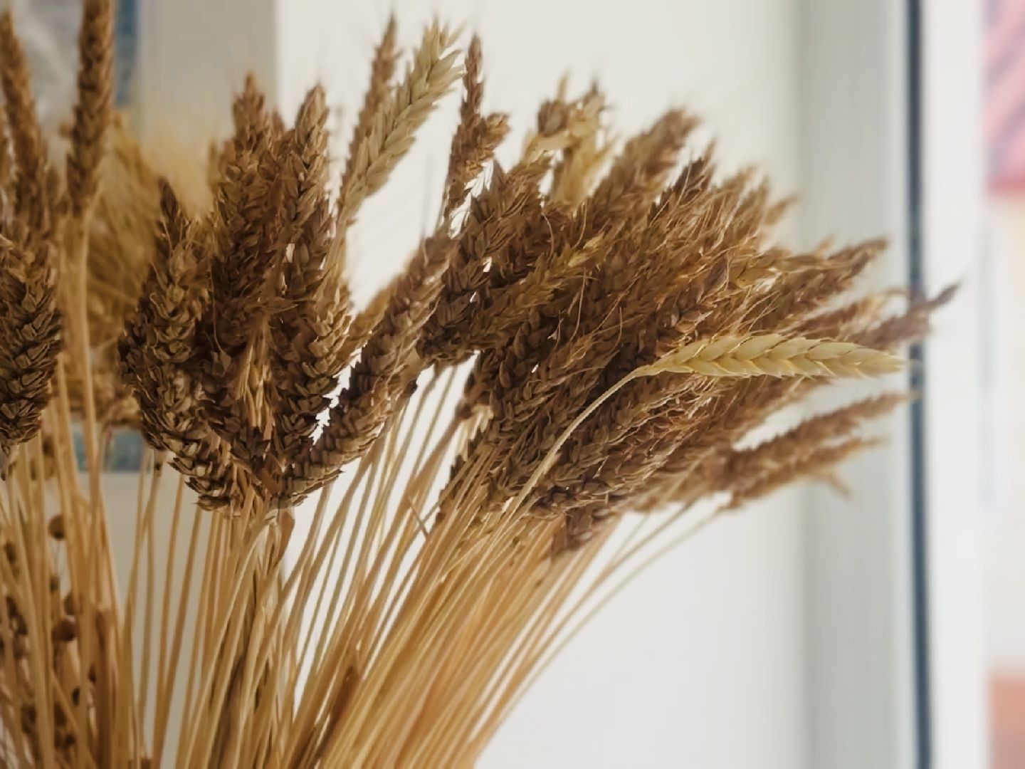 раменское, быково, биология, наука, лауреат,