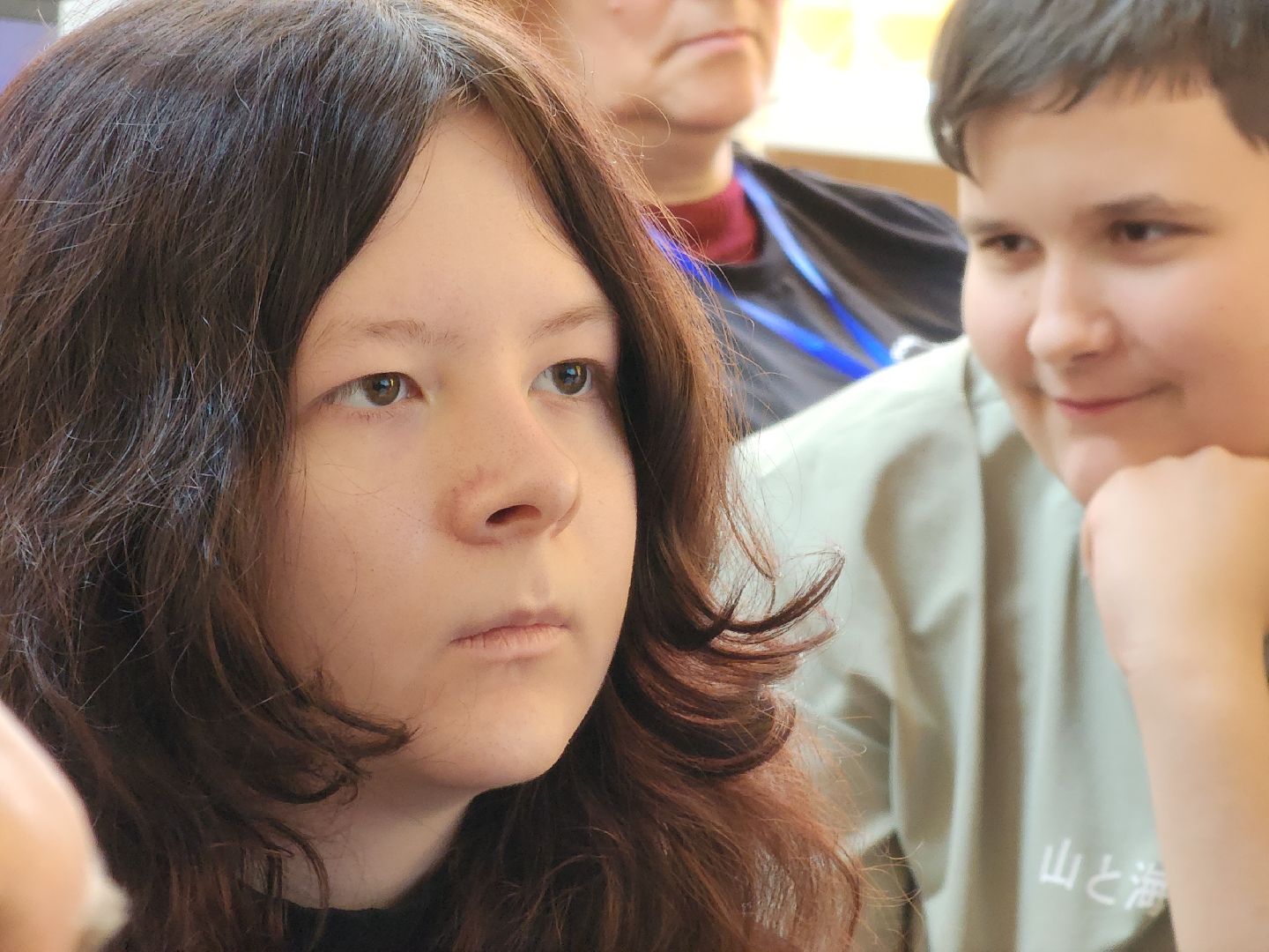 Егорьевск, Подмосковье, Московская область,вертикалки,