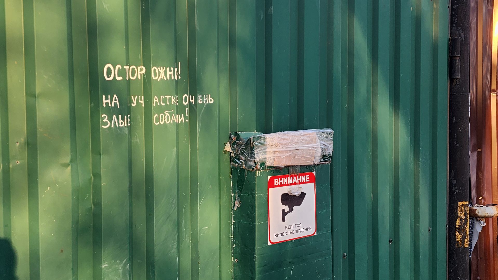 Раменский округ, Спасение девочки на рязанском шоссе, Девочка на дороге,