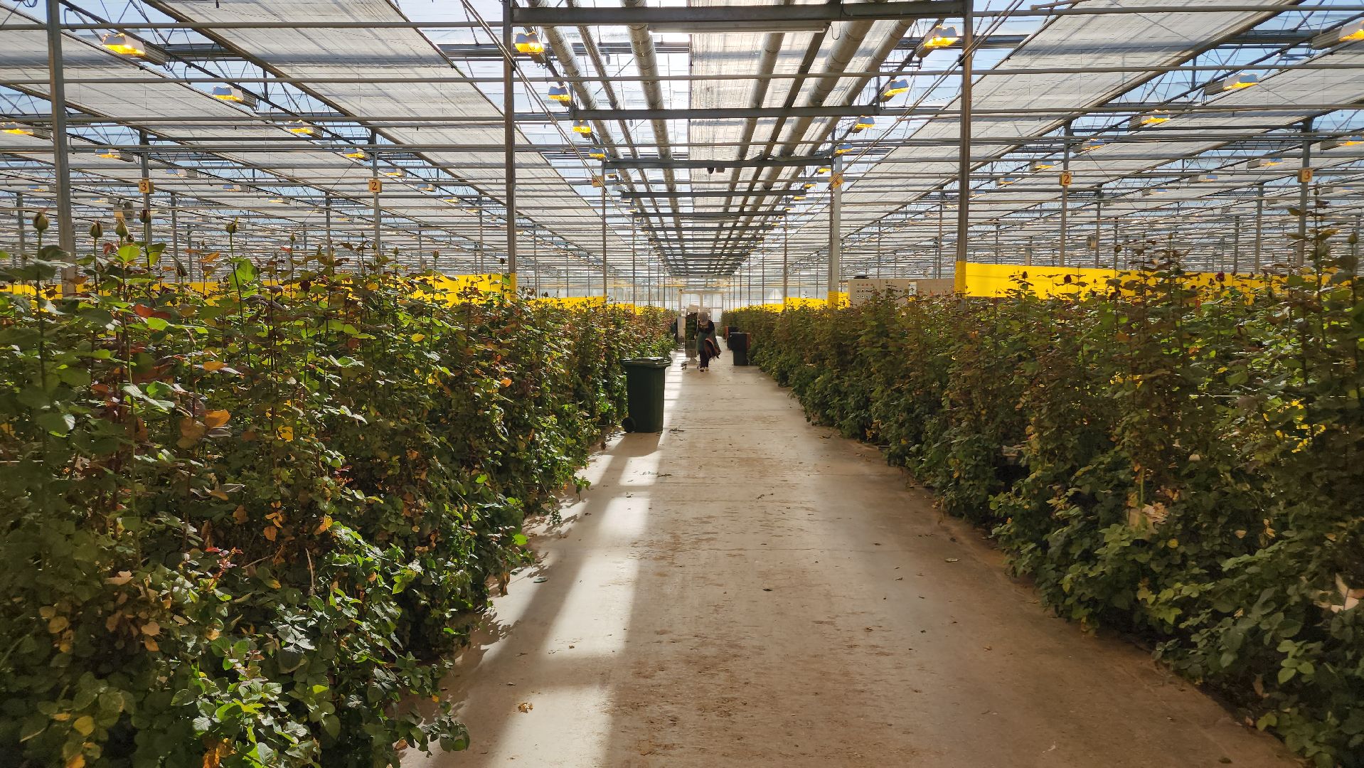 ступино, день победы, ура победе,