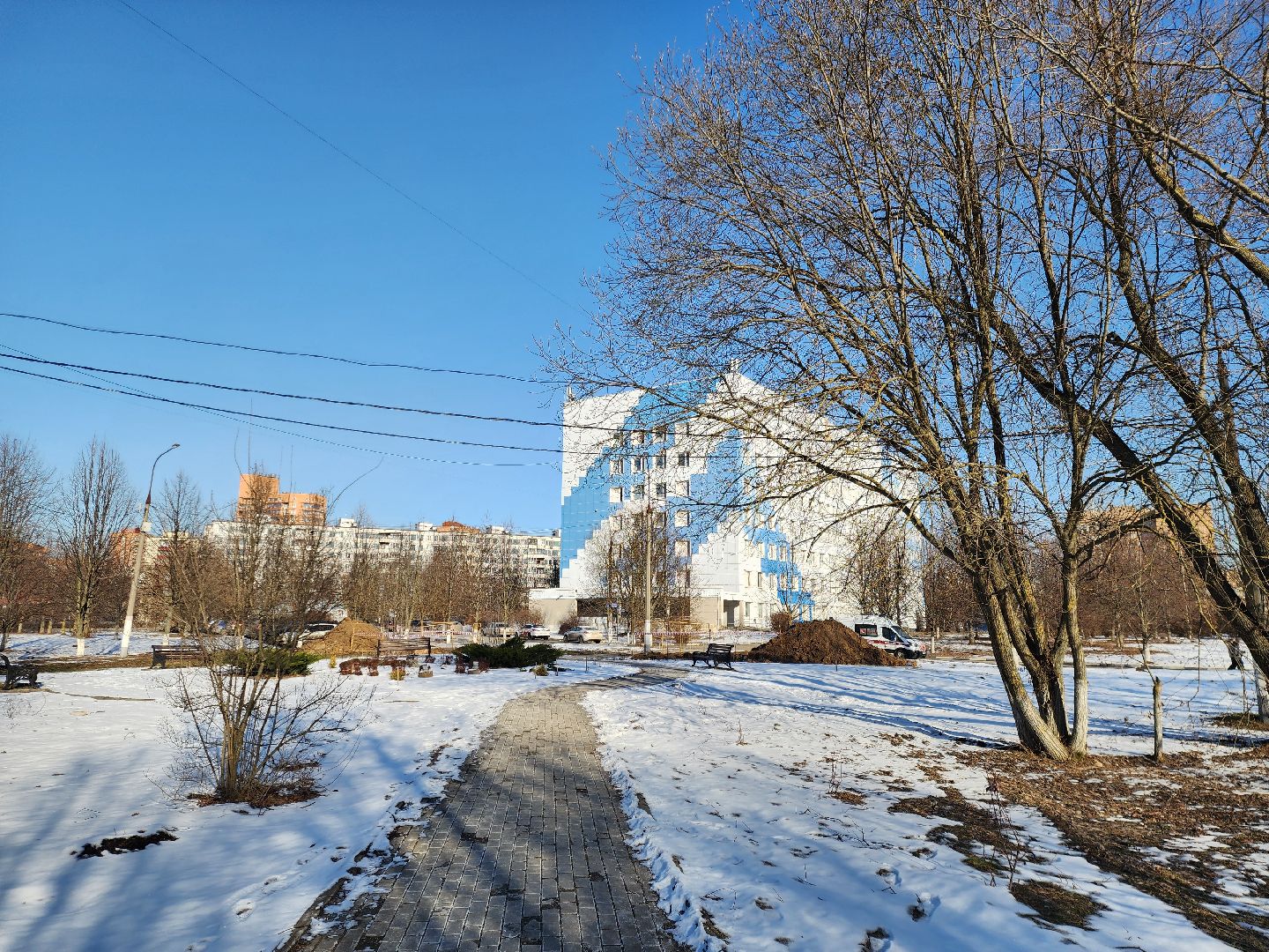 Химки, медицина, правильное питание, здоровье, вертикалки,