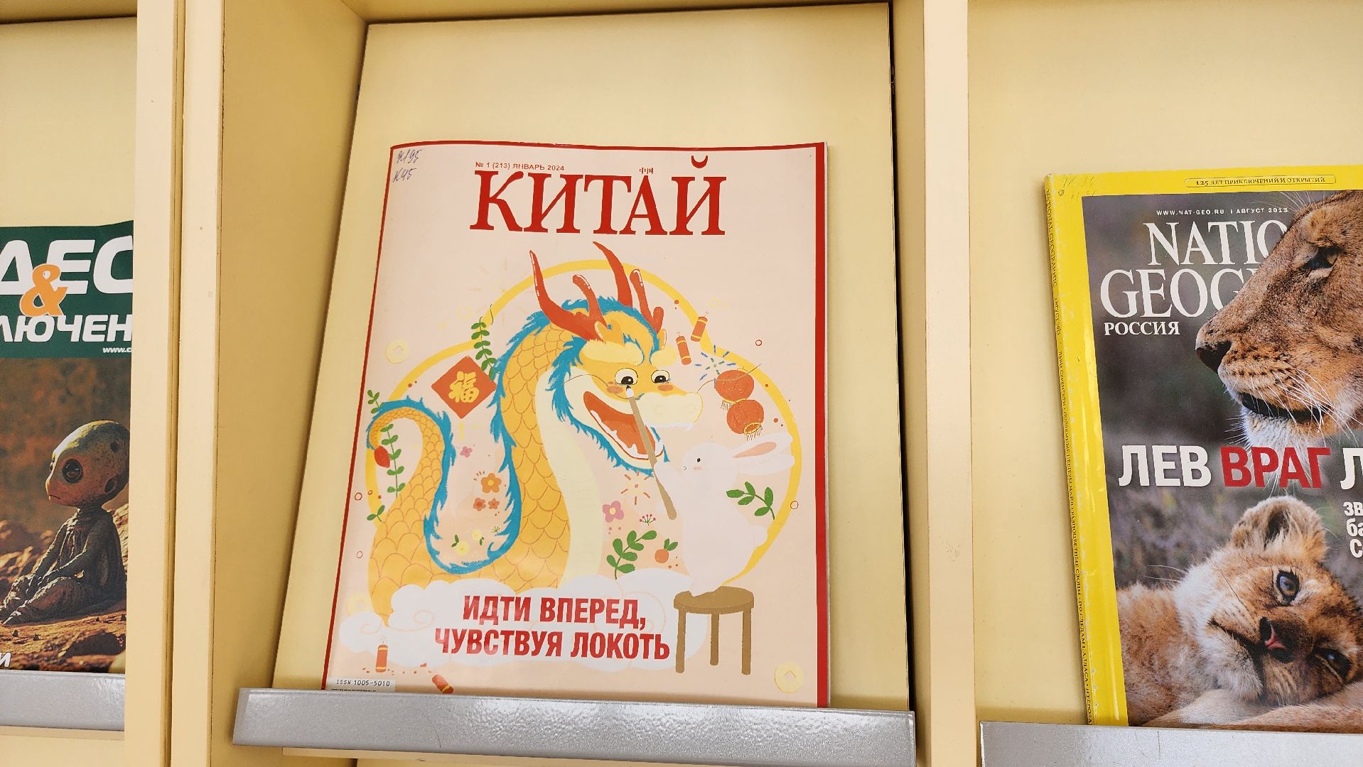 кашира, художник, живопись, картина, вертикальное, библиотека, вертикалки,