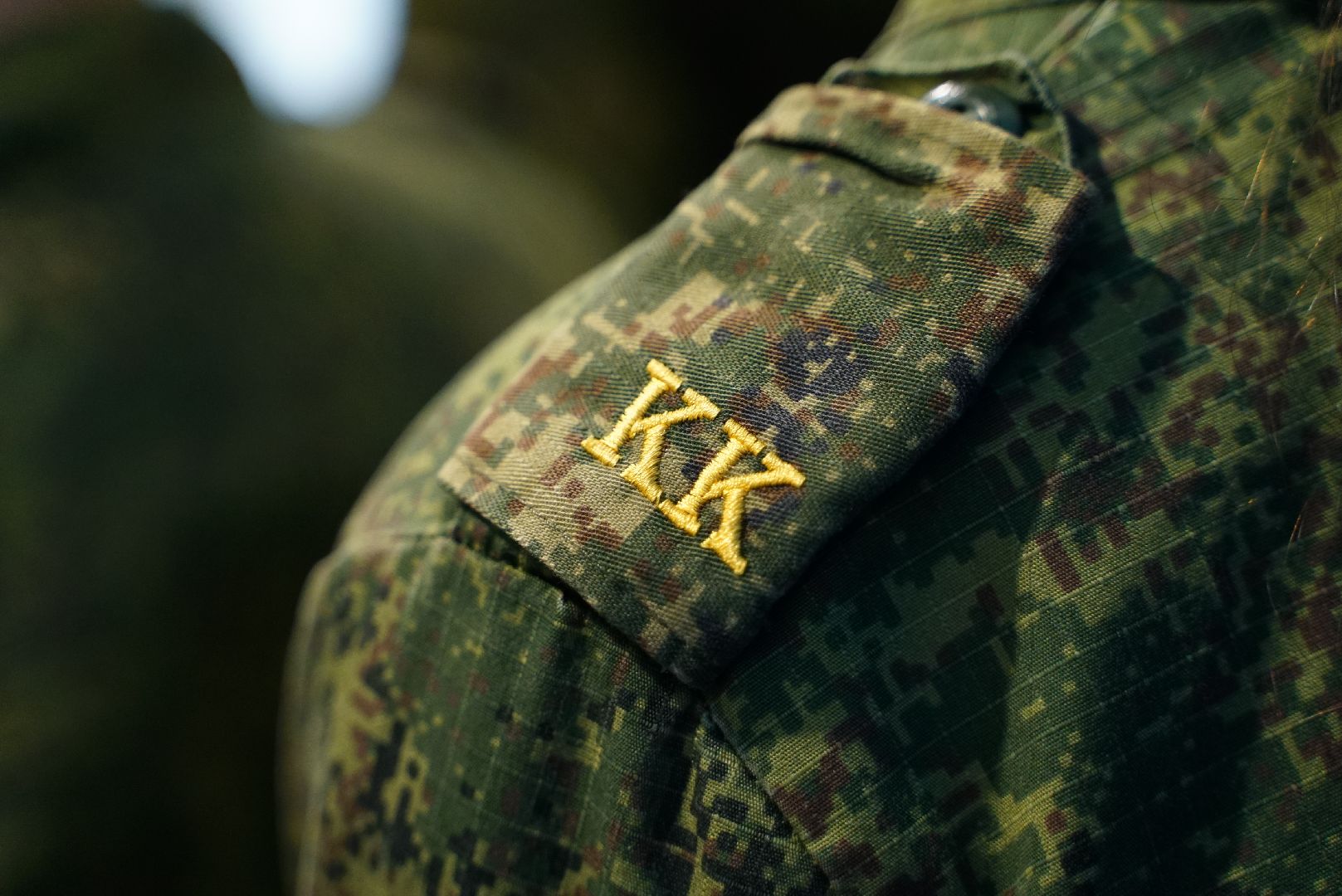 Выставка, Картины, Сво, Вов, вертикалки,