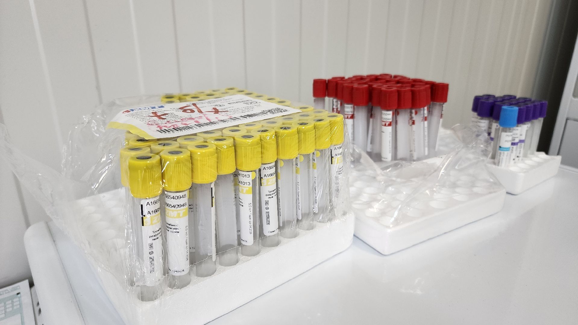 кашира, выездная администрация, медицина, фап, фельдшер, лекарства, вертикалки,