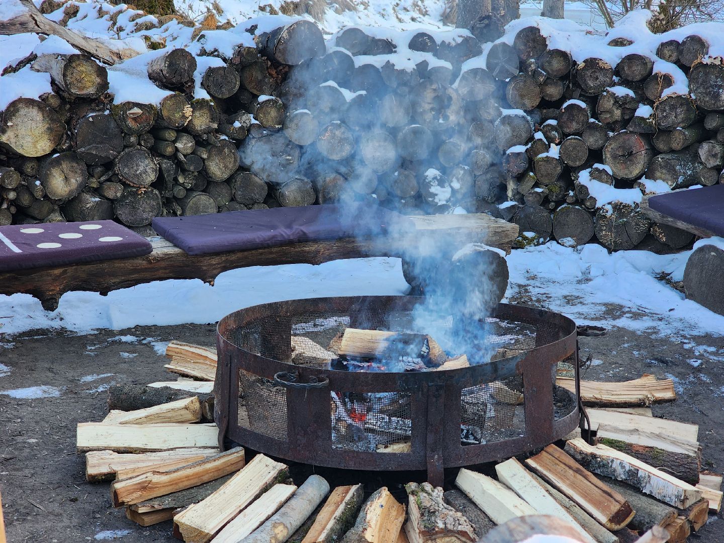 пушкино, гонка, машины, владивосток, задания,