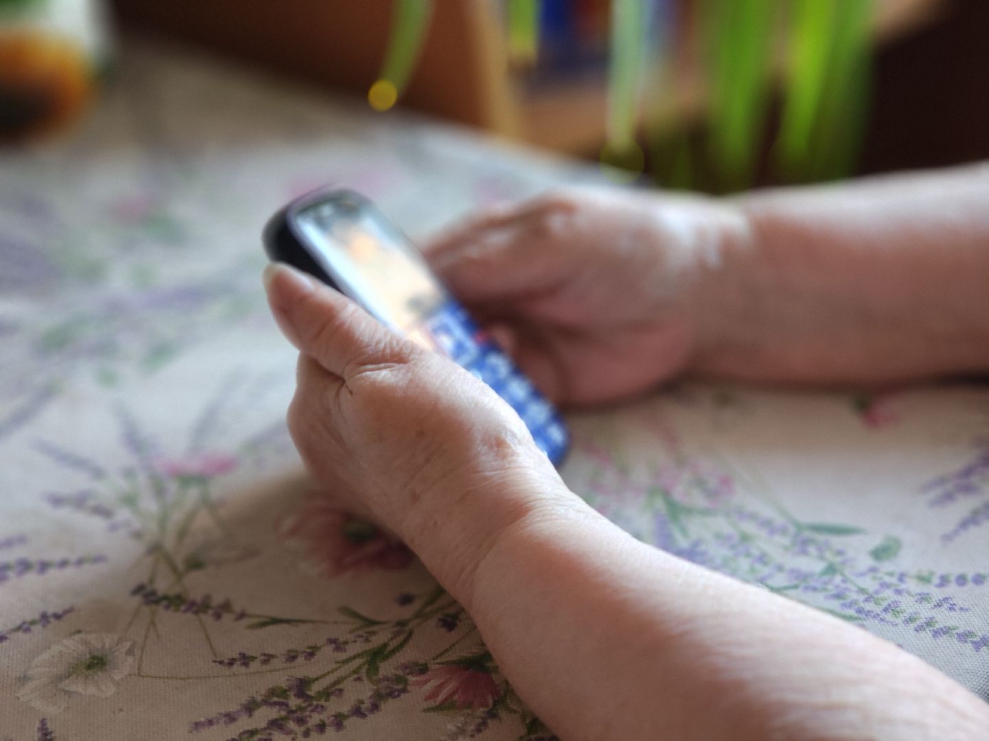 Черноголовка, ура победе, Годовщина вов,