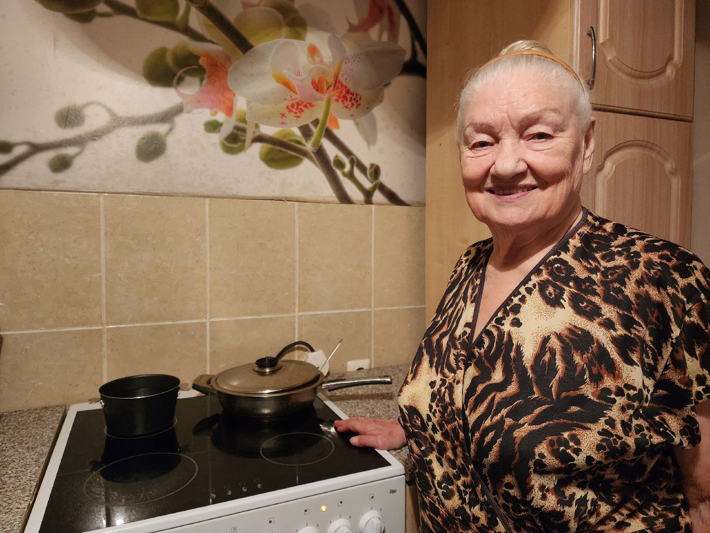 Подольск, Выездная администрация, вертикалки,обращения жителей,