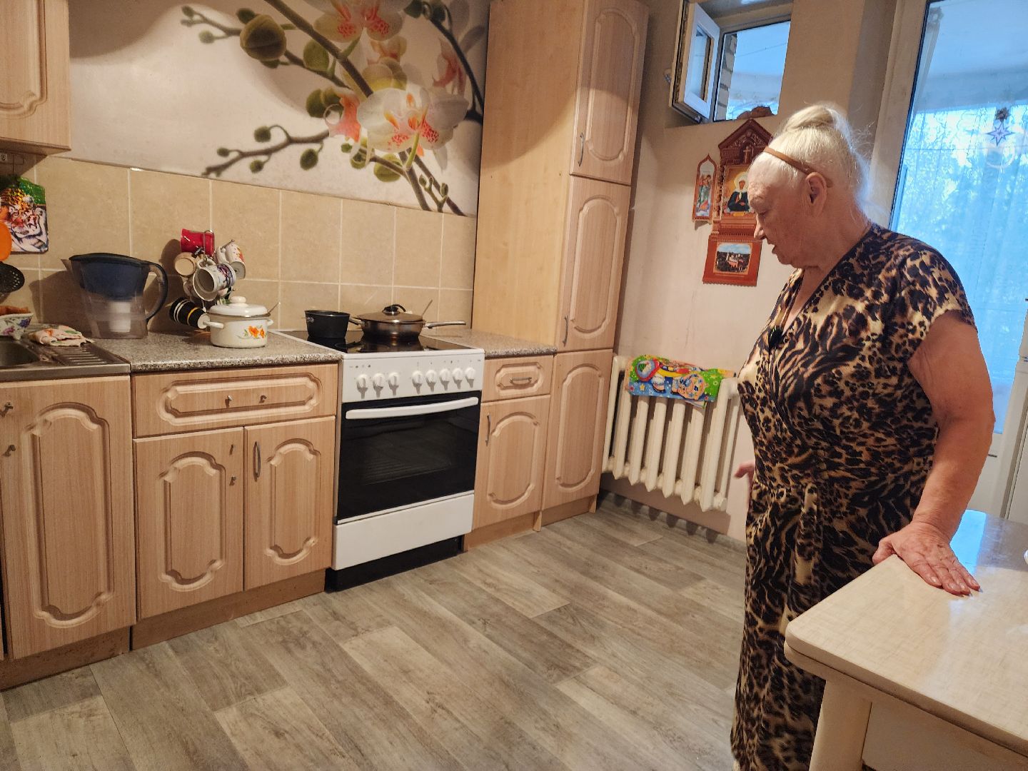 Подольск, Выездная администрация, вертикалки,обращения жителей,