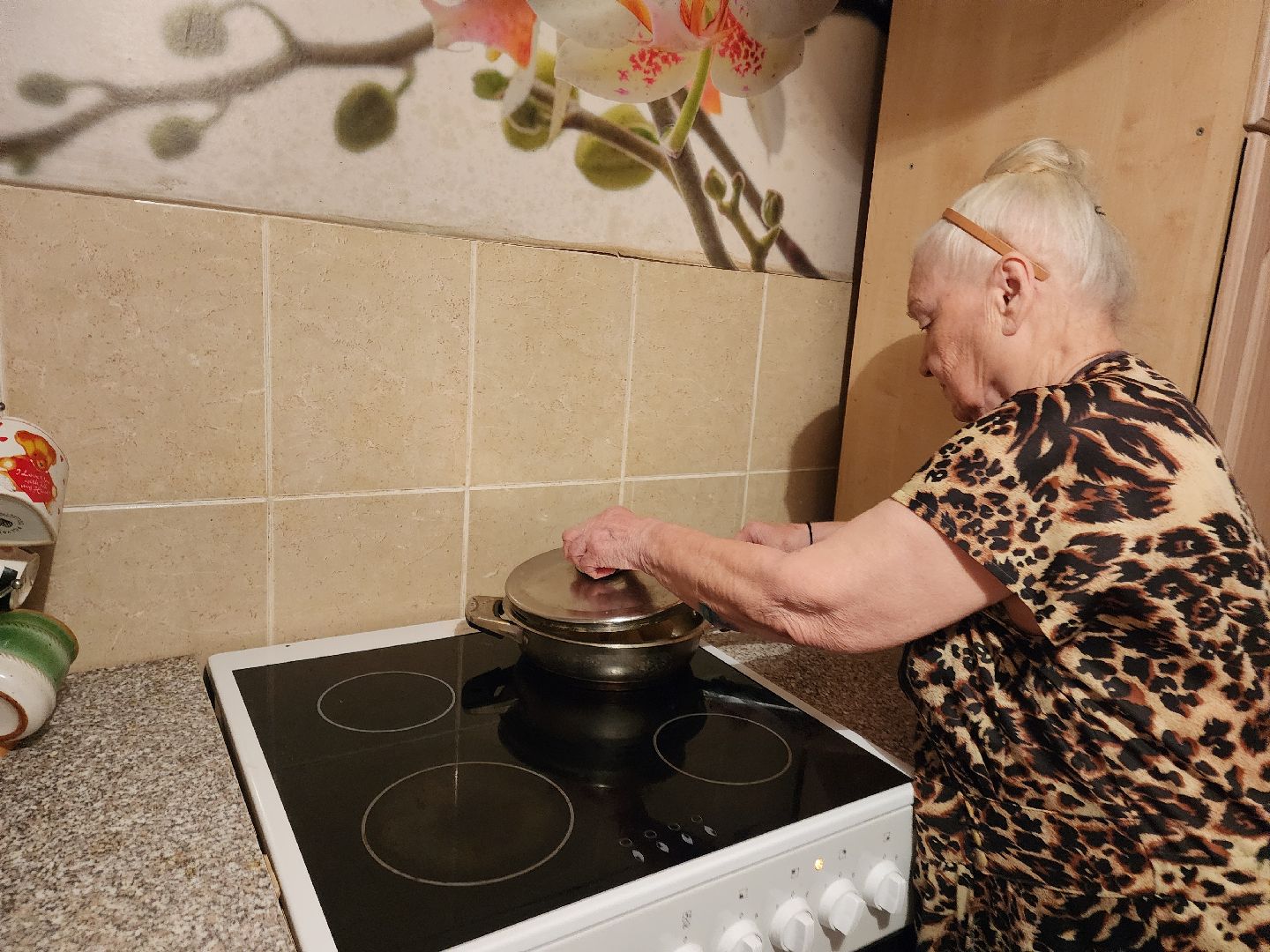 Подольск, Выездная администрация, вертикалки,обращения жителей,