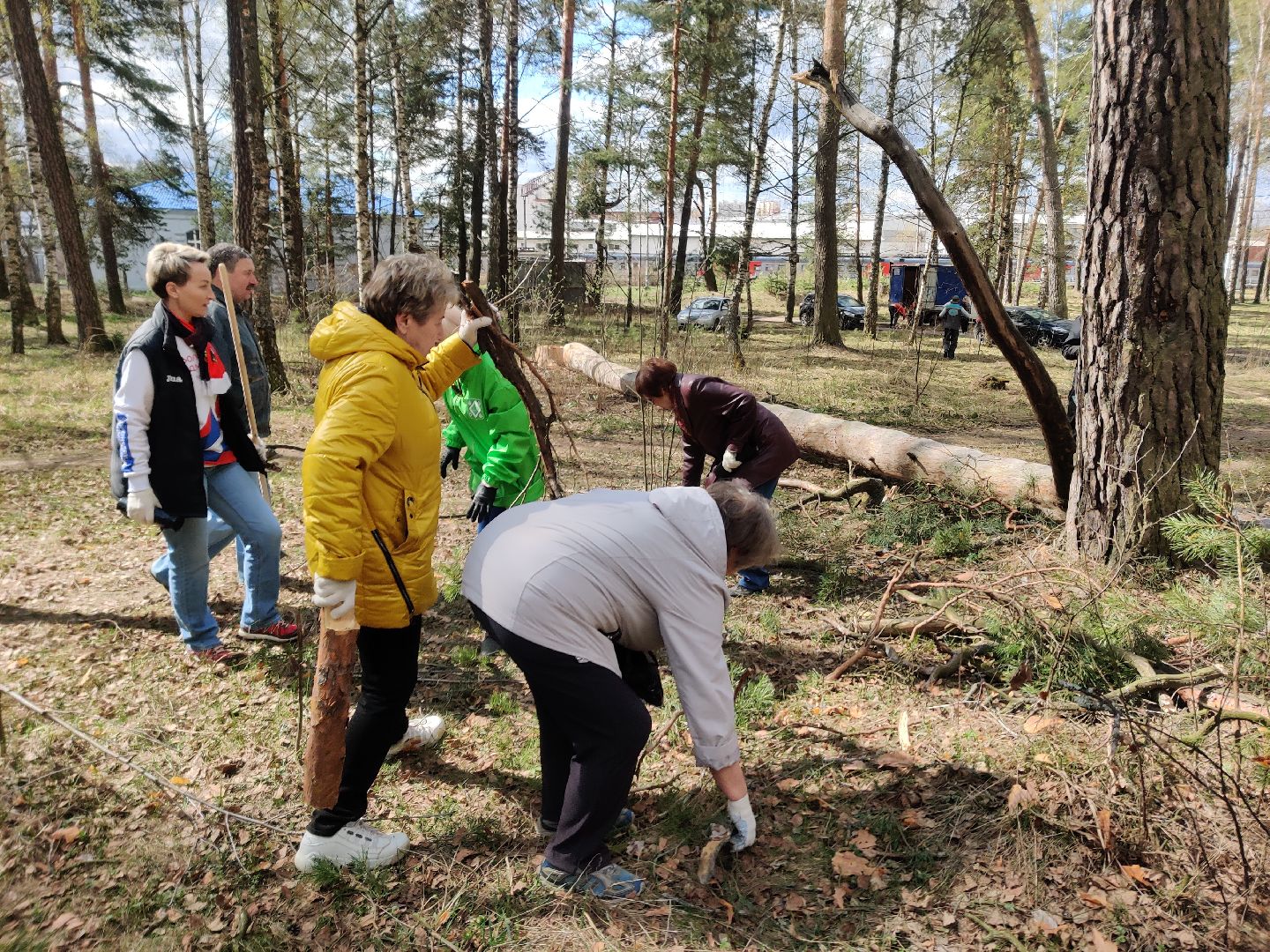 Красноармейск, Пушкинский, Банный лес, субботник, общественники
