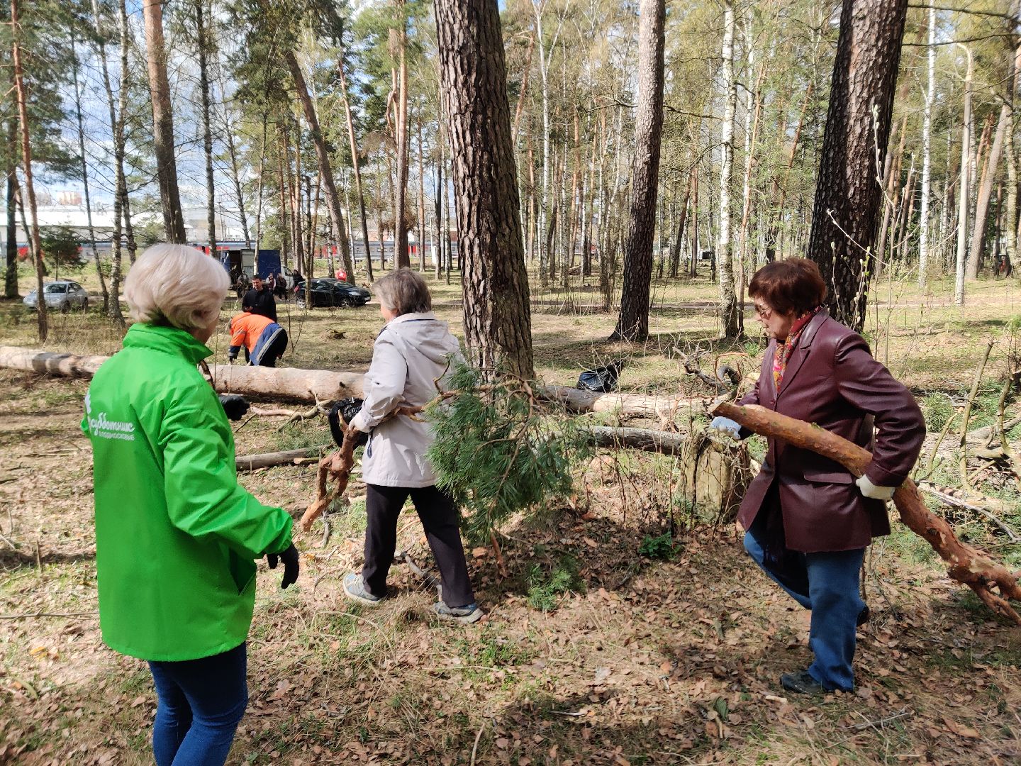 Красноармейск, Пушкинский, Банный лес, субботник, общественники
