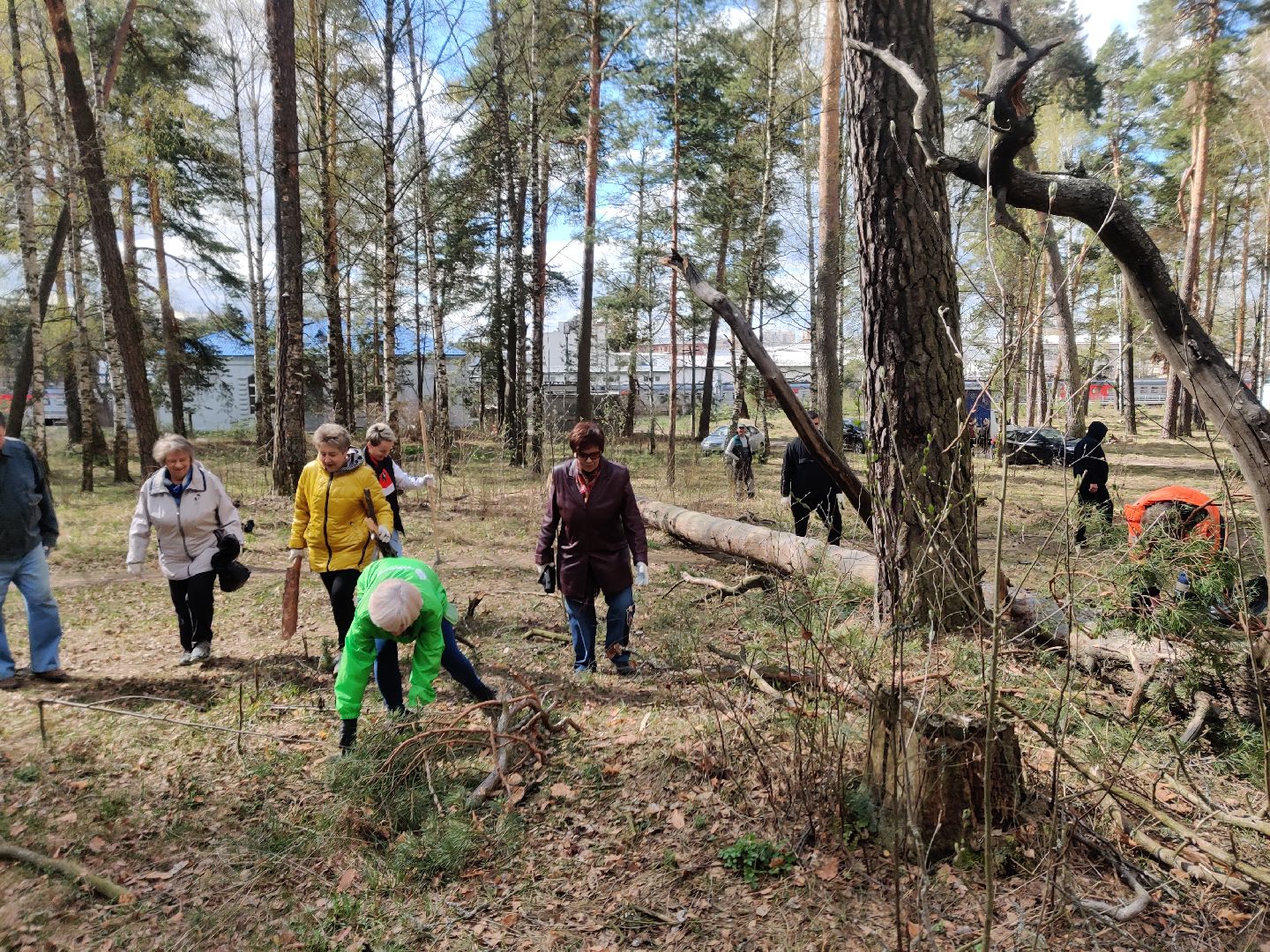 Красноармейск, Пушкинский, Банный лес, субботник, общественники