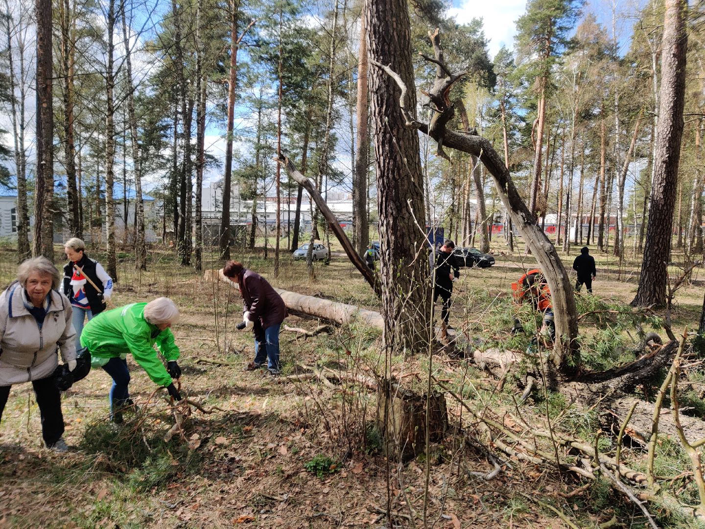 Красноармейск, Пушкинский, Банный лес, субботник, общественники