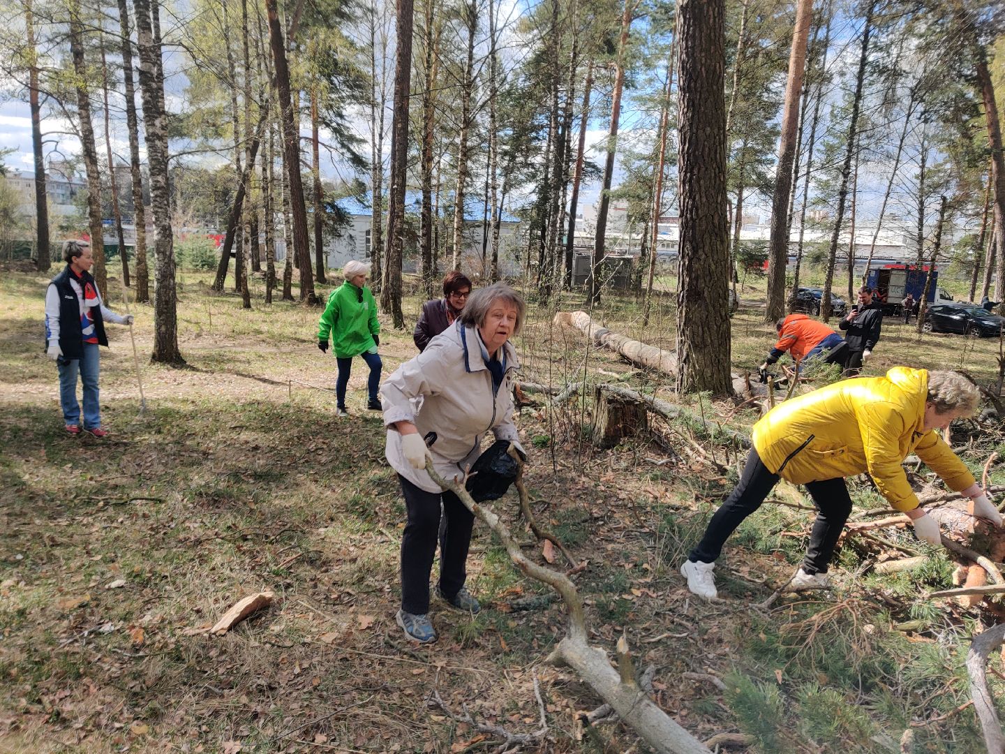 Красноармейск, Пушкинский, Банный лес, субботник, общественники