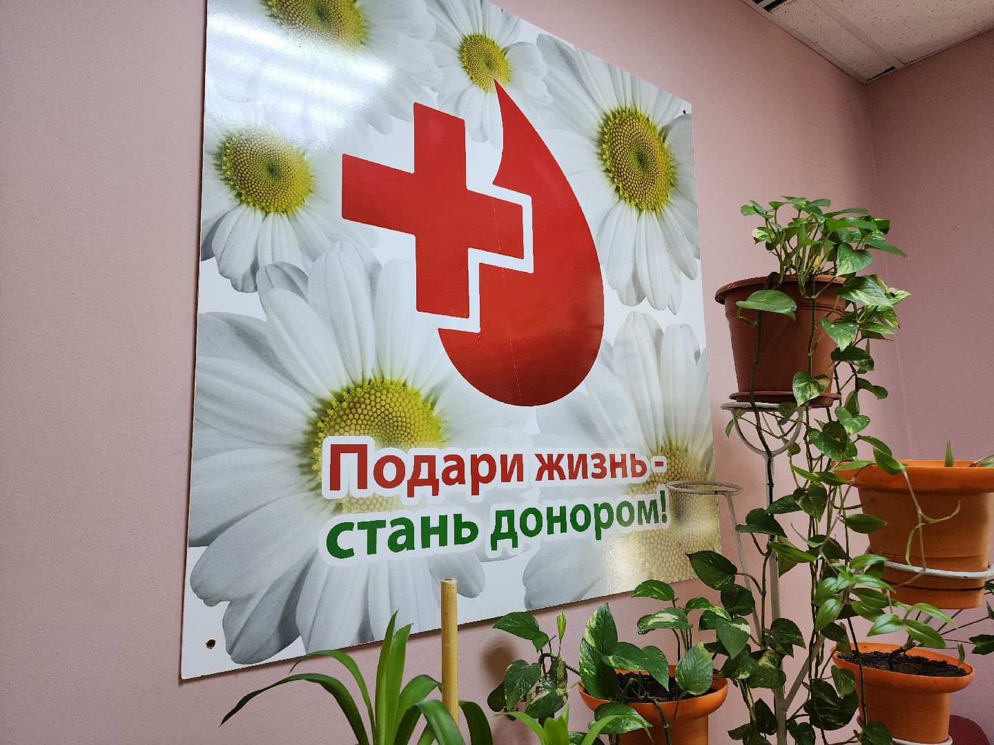 Егорьевск, Подмосковье, Московская область, вертикалки,