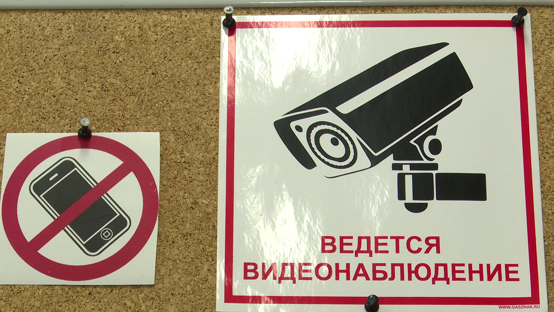 реутов, вертикалки, образование, егэ для родителей, госэкзамен, школа,