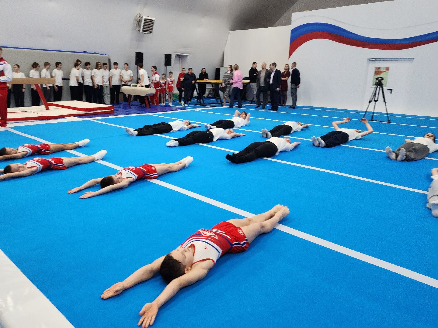 Спорт, Фок, Спортивная гимнастика,