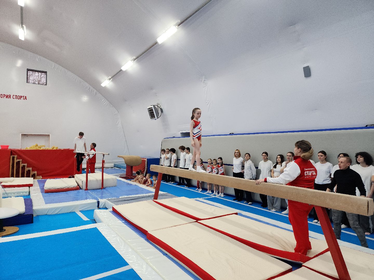 Спорт, Фок, Спортивная гимнастика,