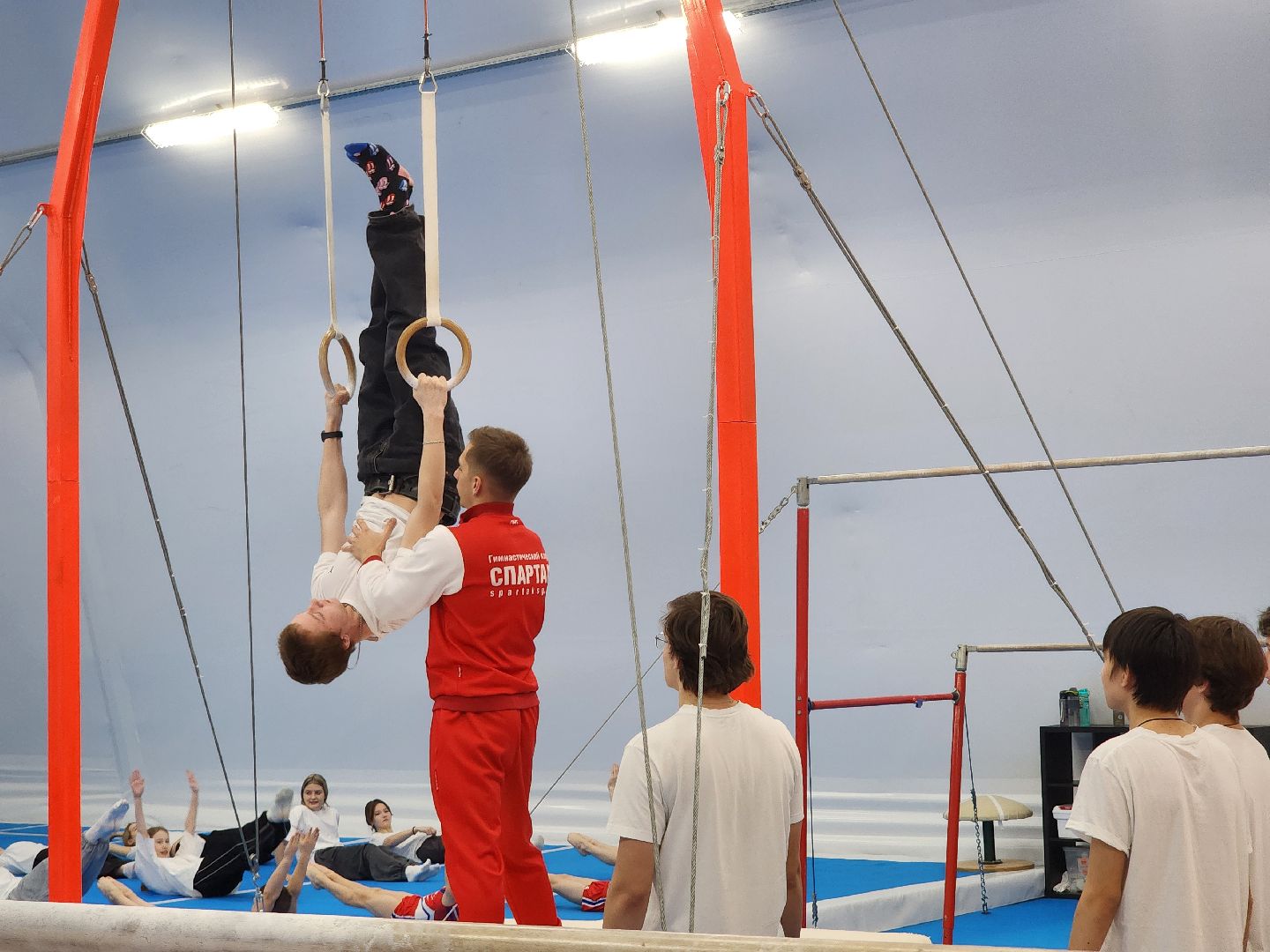 Спорт, Фок, Спортивная гимнастика,