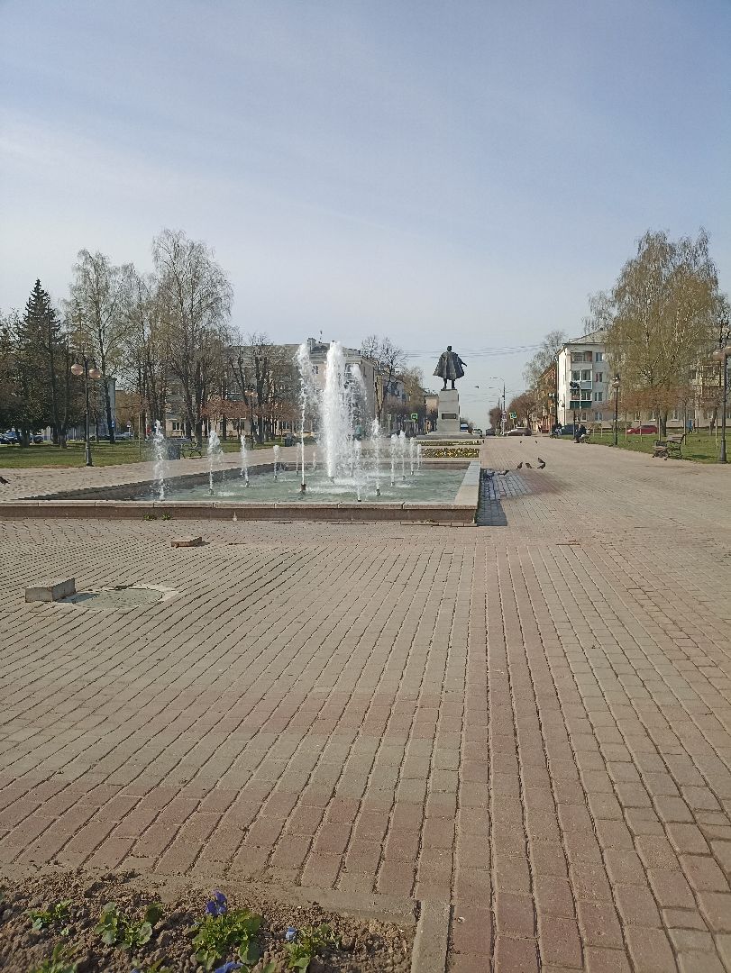 Серпухов, Подмосковье, фонтан, цветы, виола