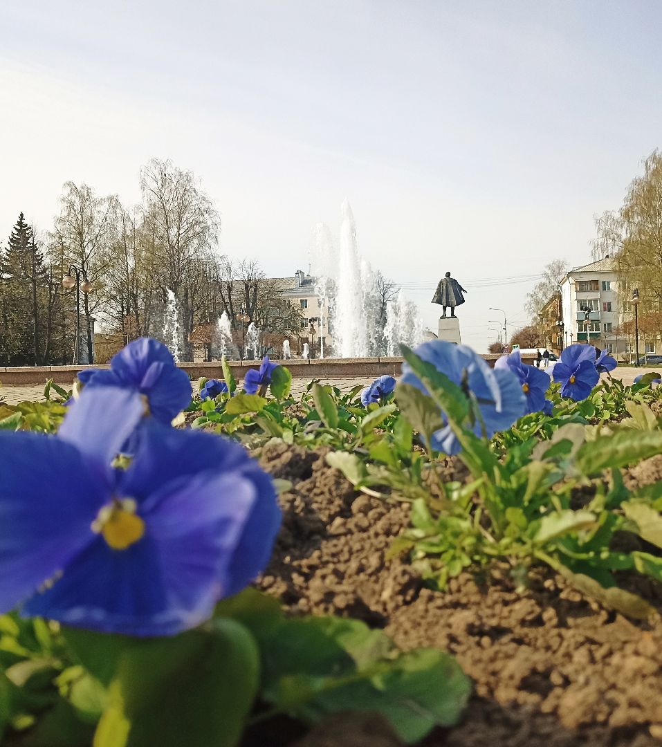 Серпухов, Подмосковье, фонтан, цветы, виола