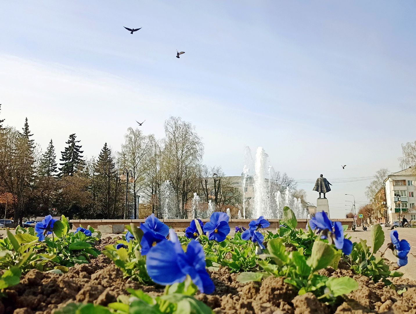 Серпухов, Подмосковье, фонтан, цветы, виола
