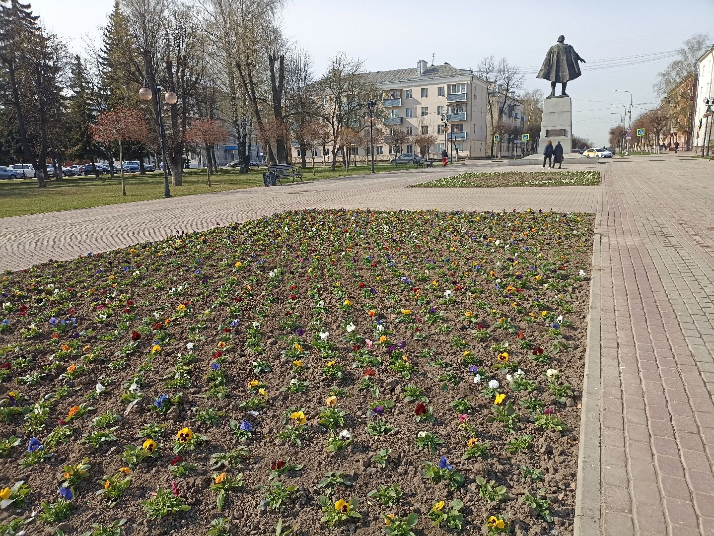 Серпухов, Подмосковье, фонтан, цветы, виола