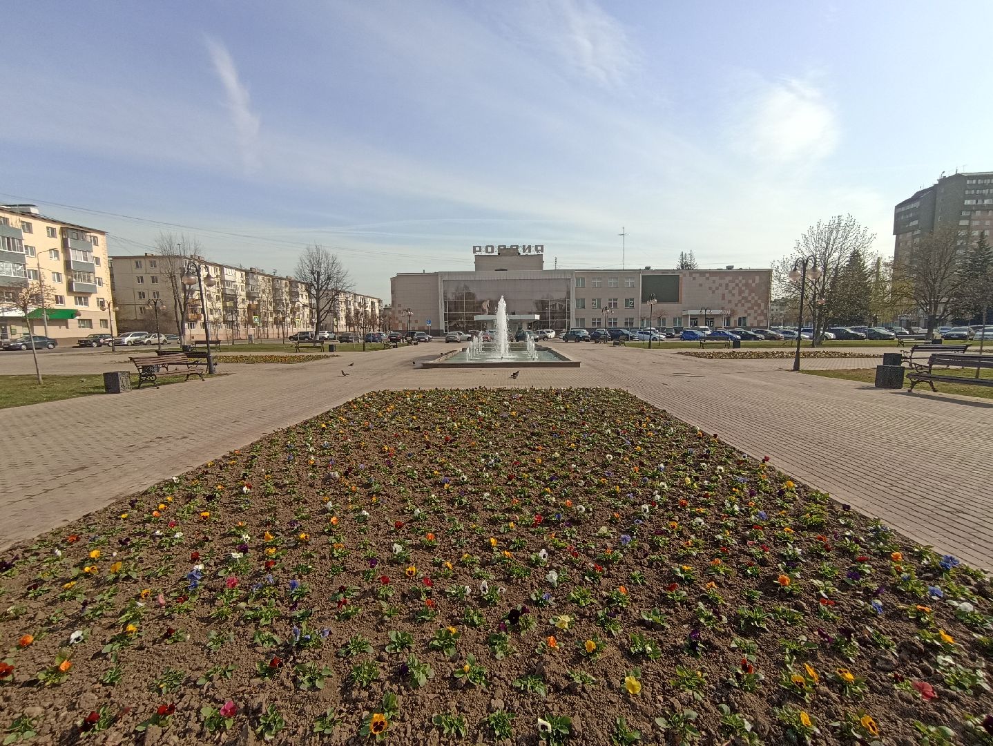 Серпухов, Подмосковье, фонтан, цветы, виола
