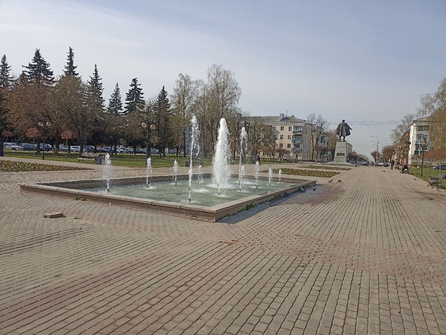 Серпухов, Подмосковье, фонтан, цветы, виола
