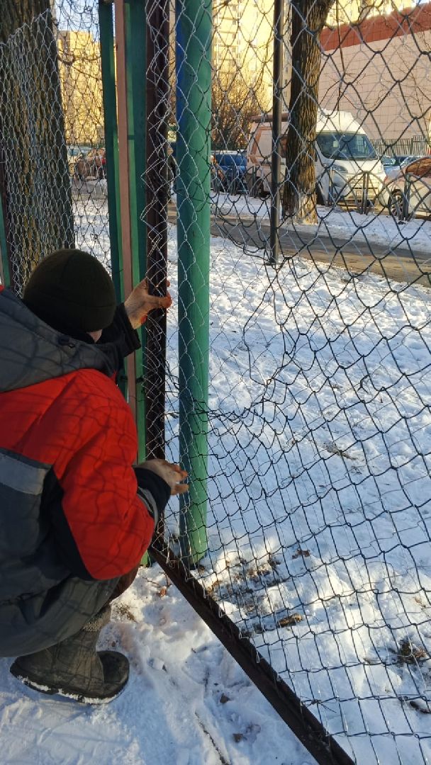 спортивная площадка Власиха, ремонт спортплощадки, обращения жителей, Власиха спортплощадка, вертикалки,