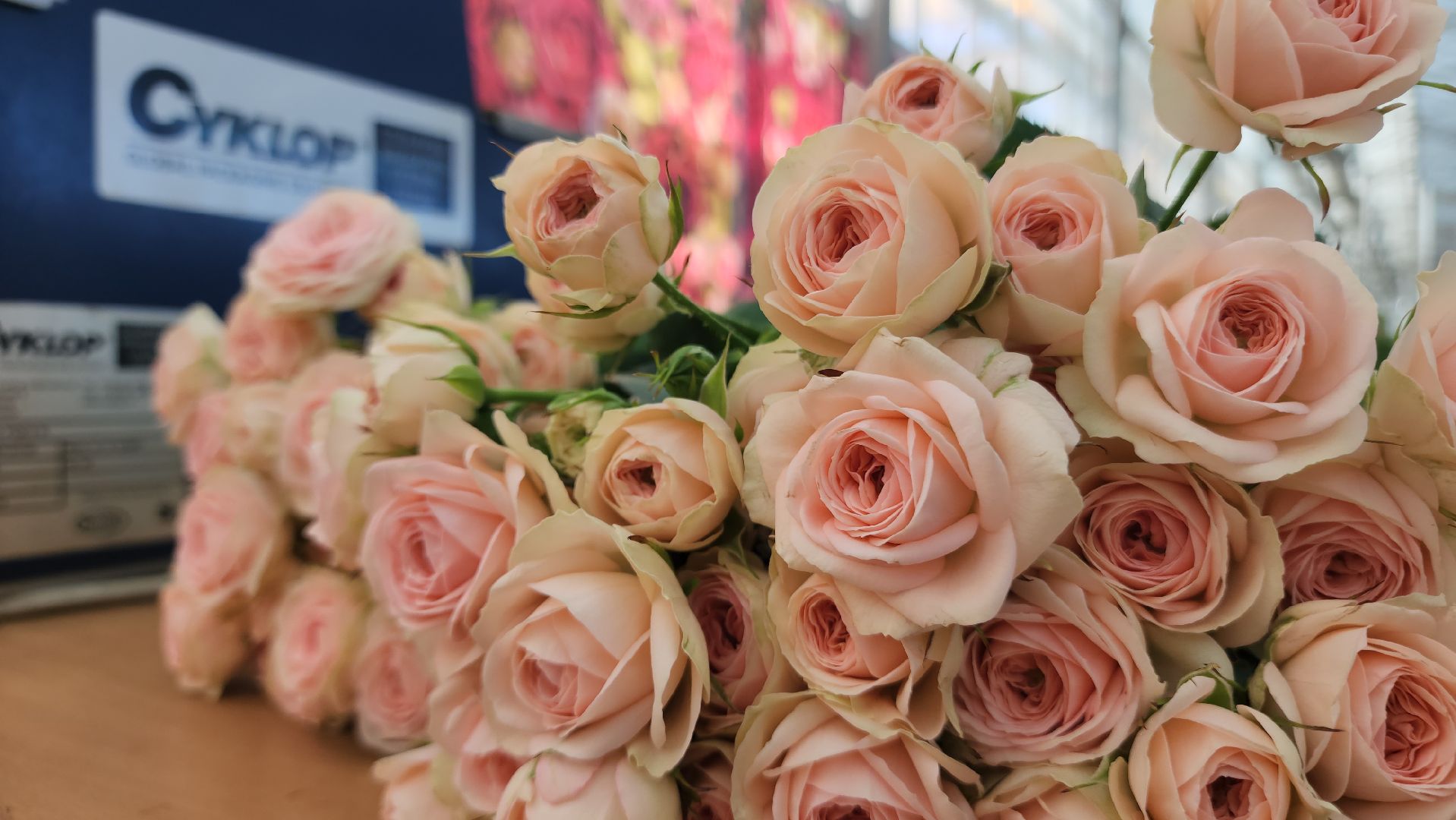 ступино, 8 марта, тепличный комплекс, экономика, вертикалки,