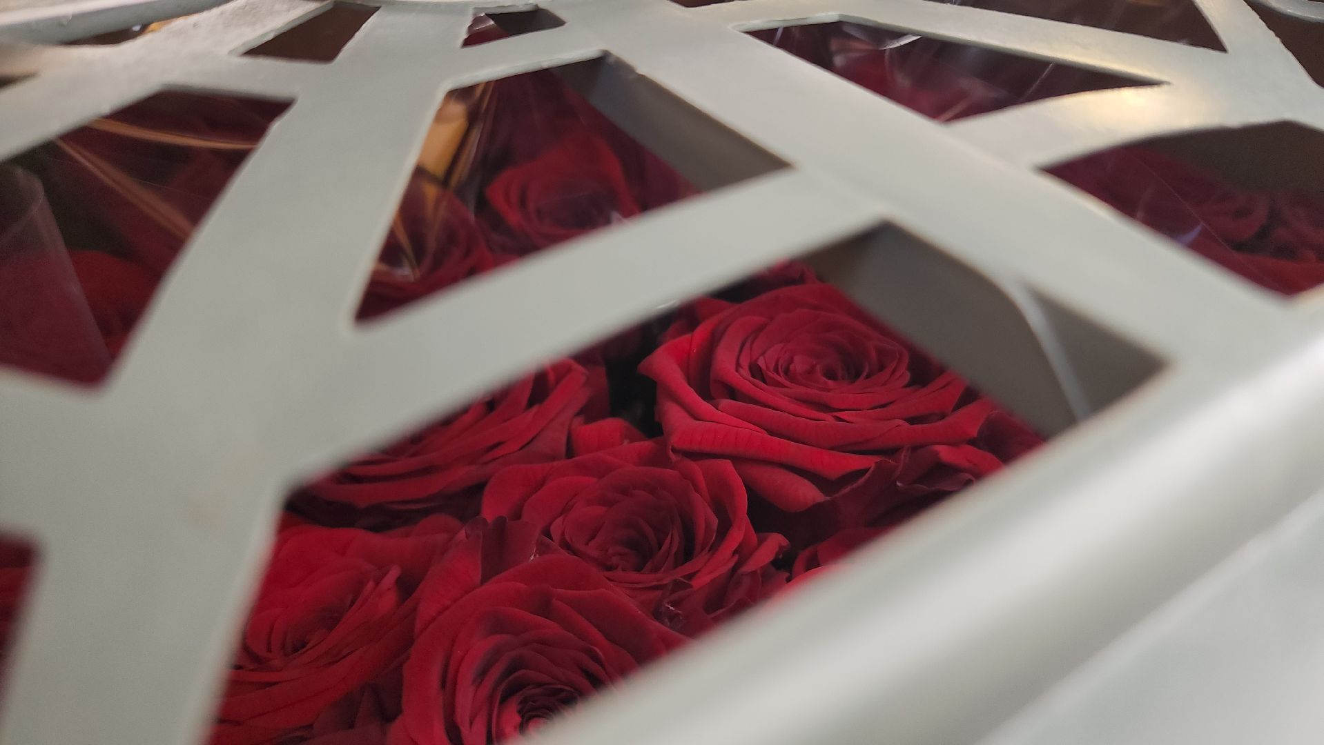 ступино, 8 марта, тепличный комплекс, экономика, вертикалки,