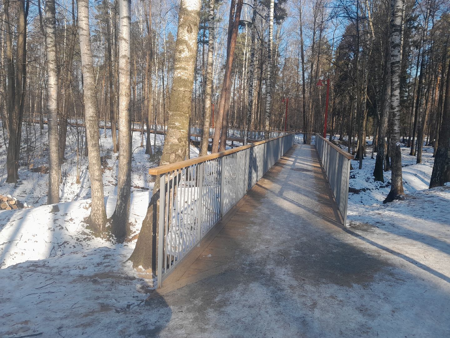 кучинский парк, благоустройство, балашиха, парки,