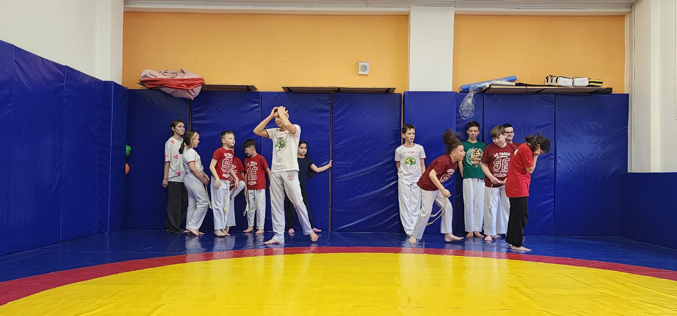 Химки, Спорт, капоэйра, вертикалки,