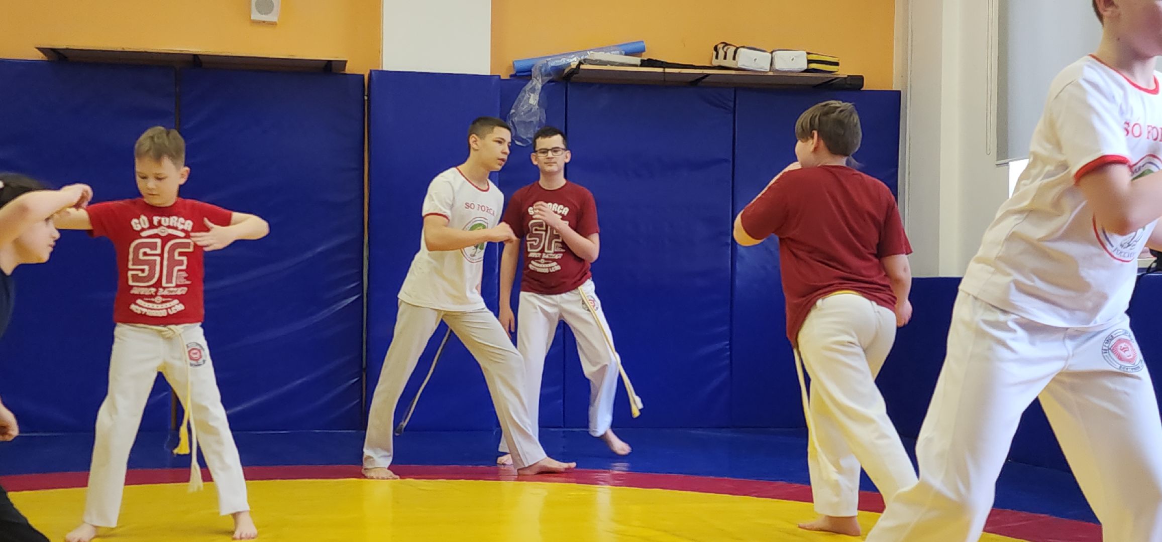 Химки, Спорт, капоэйра, вертикалки,