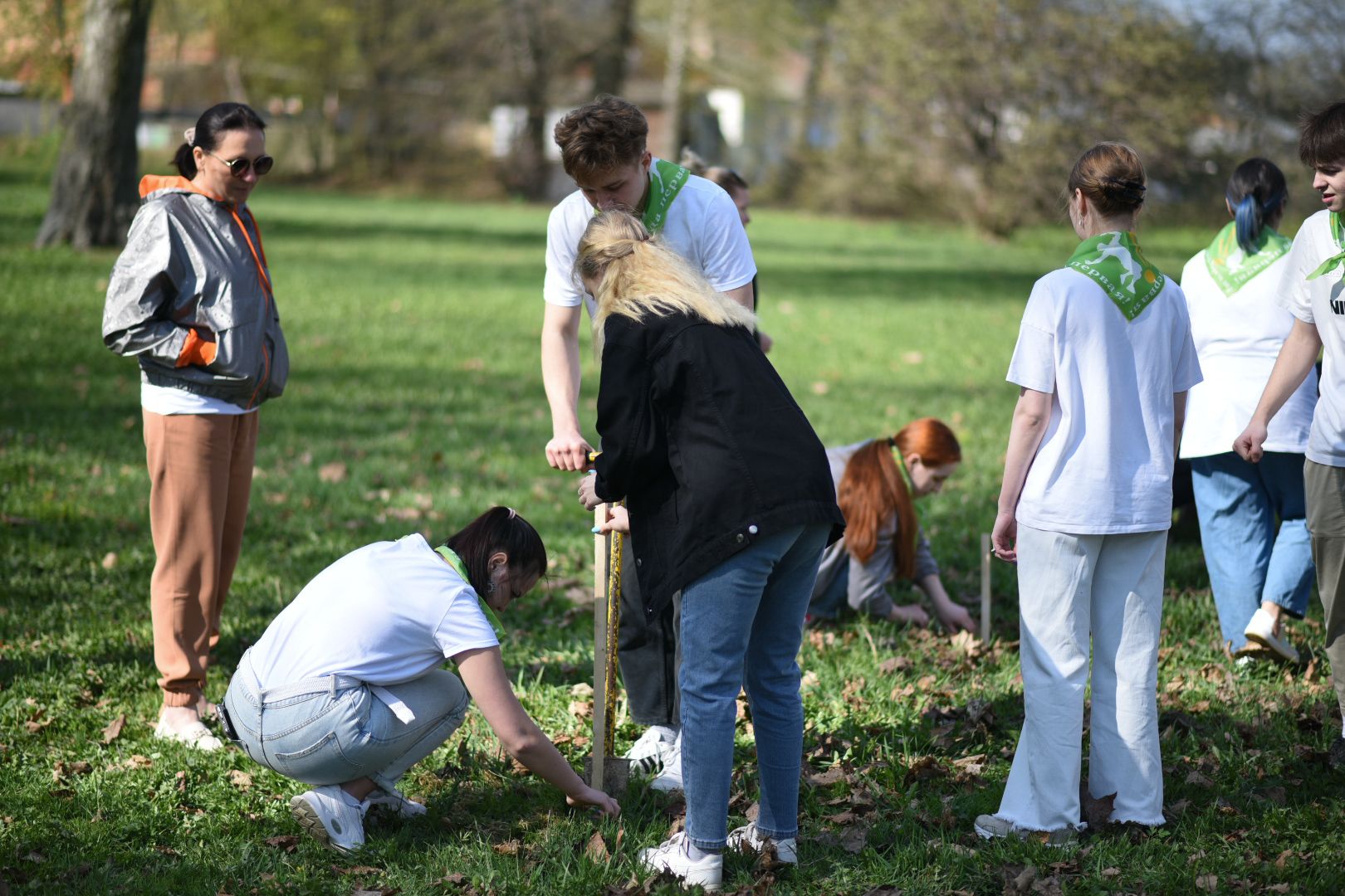 Бронницы, деревья, юбилей