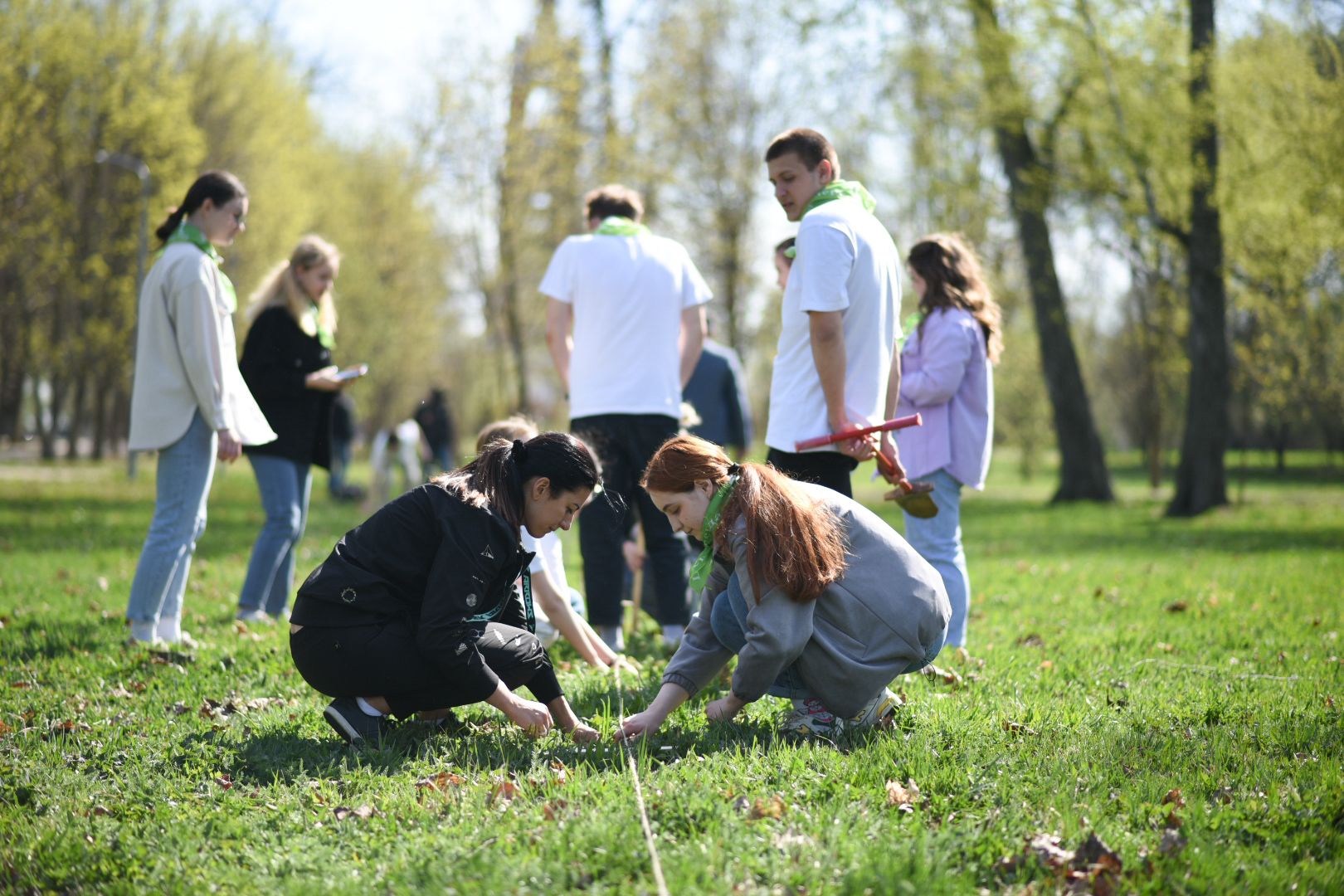 Бронницы, деревья, юбилей